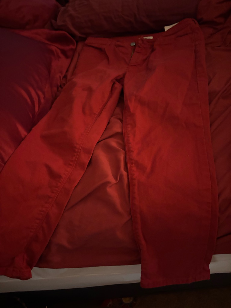 Prada Womenâs Red Chinos